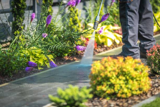 Best Winterizing Services  in East Northport, NY